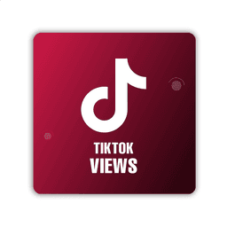 TIKTOK Video Views